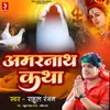 About Amarnath katha Song